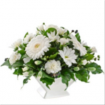 Arrangement in Ceramic Container Suitable for Home