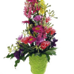 Arrangement of Cut Flowers