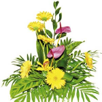 Arrangement of Cut Flowers