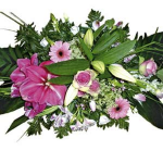 Arrangement of Cut Flowers