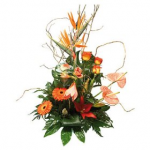 Arrangement of Mixed Cut Flowers