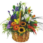 basket arrangement