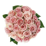 Bouquet of pink roses