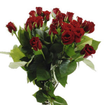 bouquet of red roses