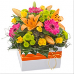 Bright Mixed Box Arrangement