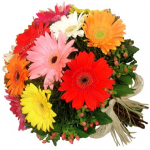 EVERYDAY - Gerbera Bouquet