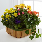 Gentle Blossoms Basket