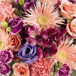 Bouquet of Seasonal Cut Flowers