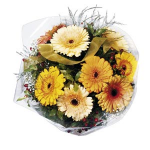 mixed gerbera bunch