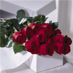 12 Roses Long Stem