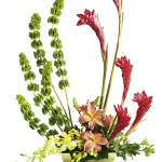 Tropical Arrangement