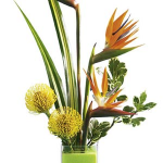 Tropical Bright Arrangement